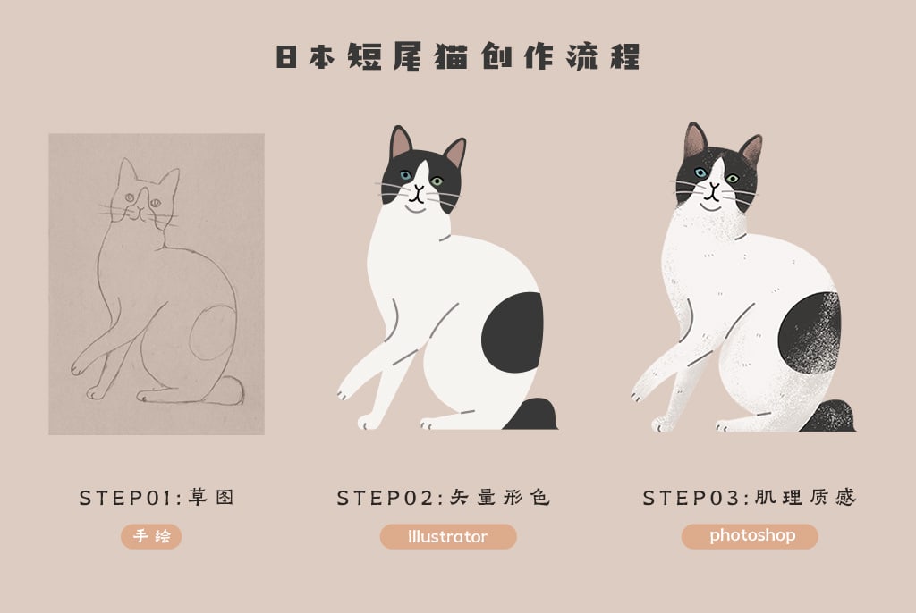 屋睿原创扁平风手绘插画案例 科普信息图插画设计 猫咪的种类 日本短尾猫插画创作流程展示