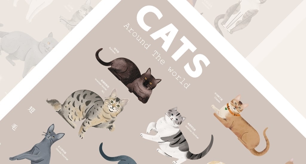 猫咪的种类：科普信息图插画定制